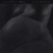 Well cover